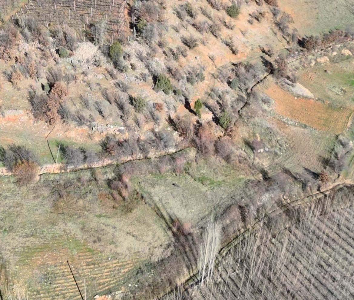 Nurhak’ta yaban domuzu avı yapıldı