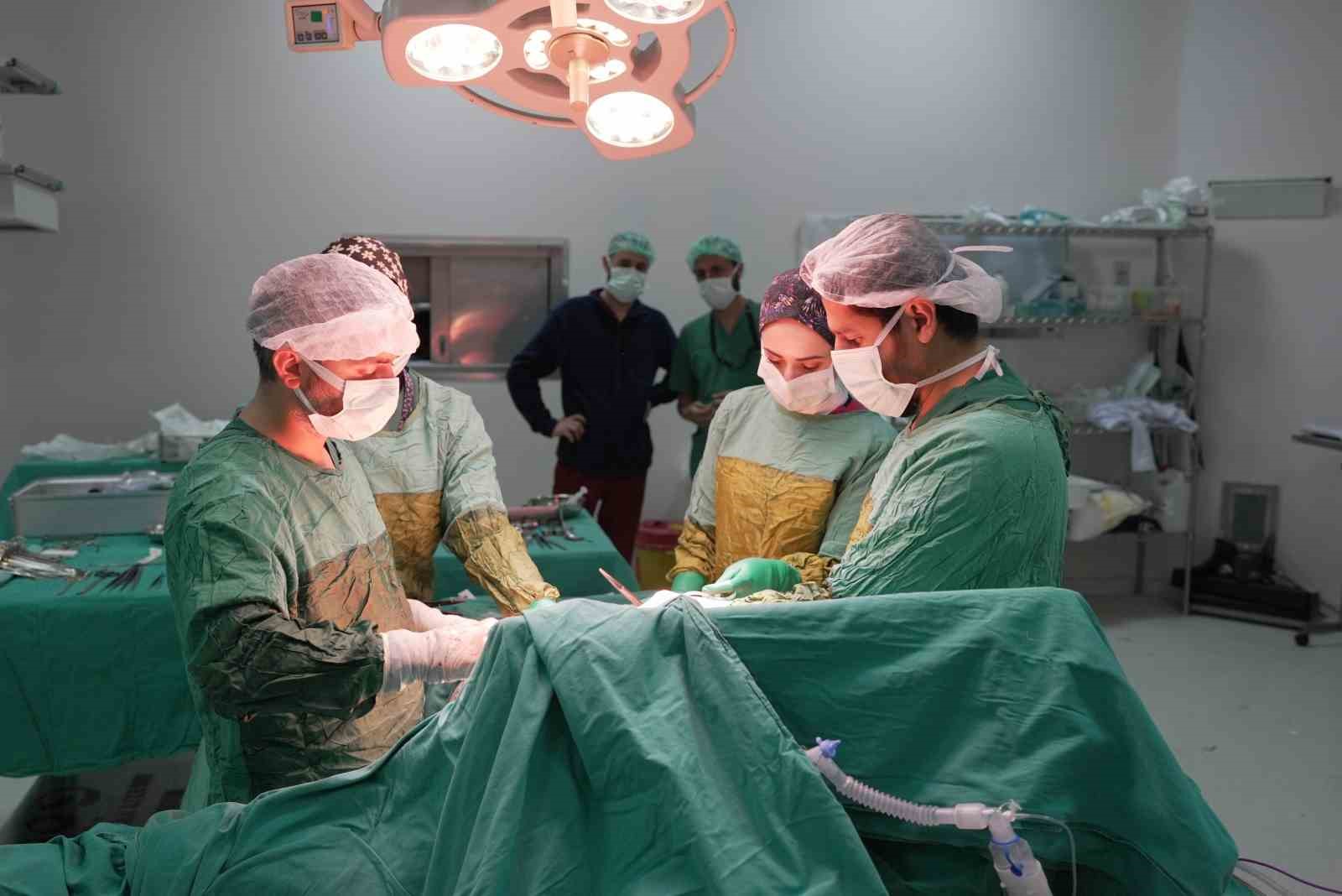 2 kilogramı aşan dev t&uuml;m&ouml;r başarıyla &ccedil;ıkarıldı
