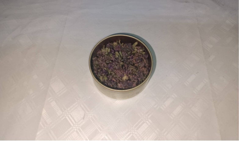 Artvin’de endemik yayla çayı çiçeği kaçakçılığına Jandarma engeli