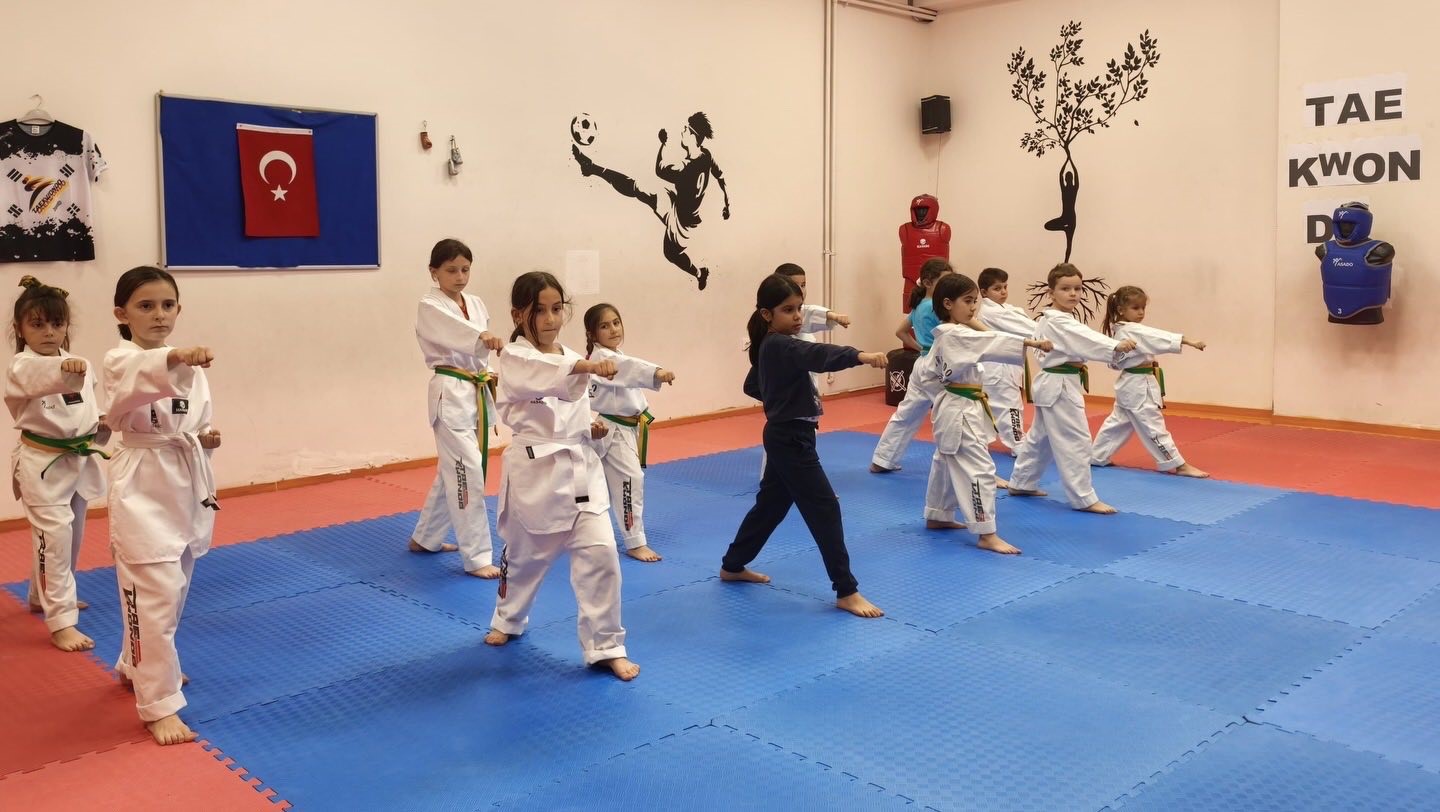 Bilecik&rsquo;te geleceğin sporcuları taekwondo minderinde yetişiyor
