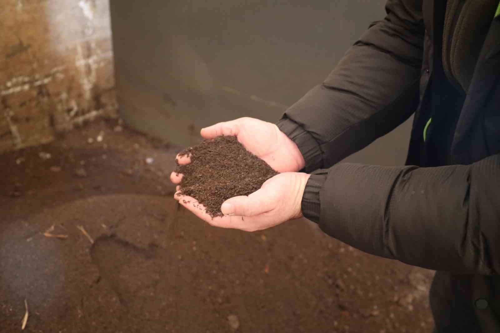 Torf üretimiyle yılda 50 milyon lira tasarruf sağlanıyor
