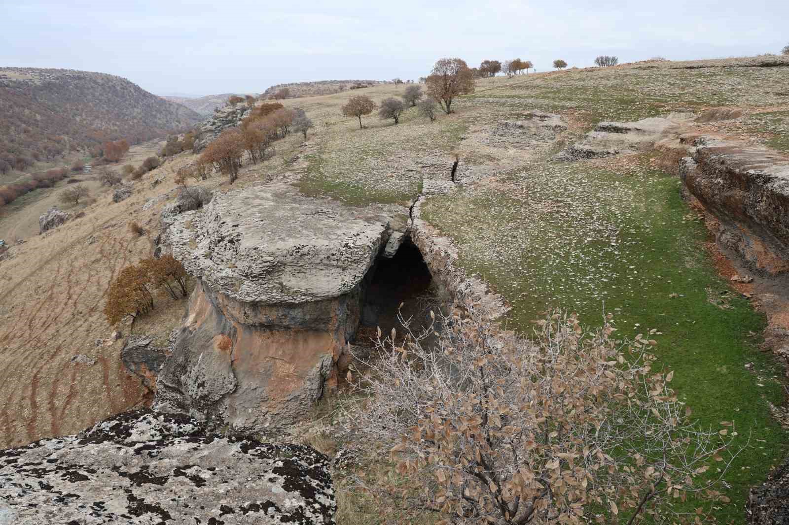 Diyarbakır&rsquo;da y&uuml;z milyonlarca yıl &ouml;nceye ait fosiller bulundu
