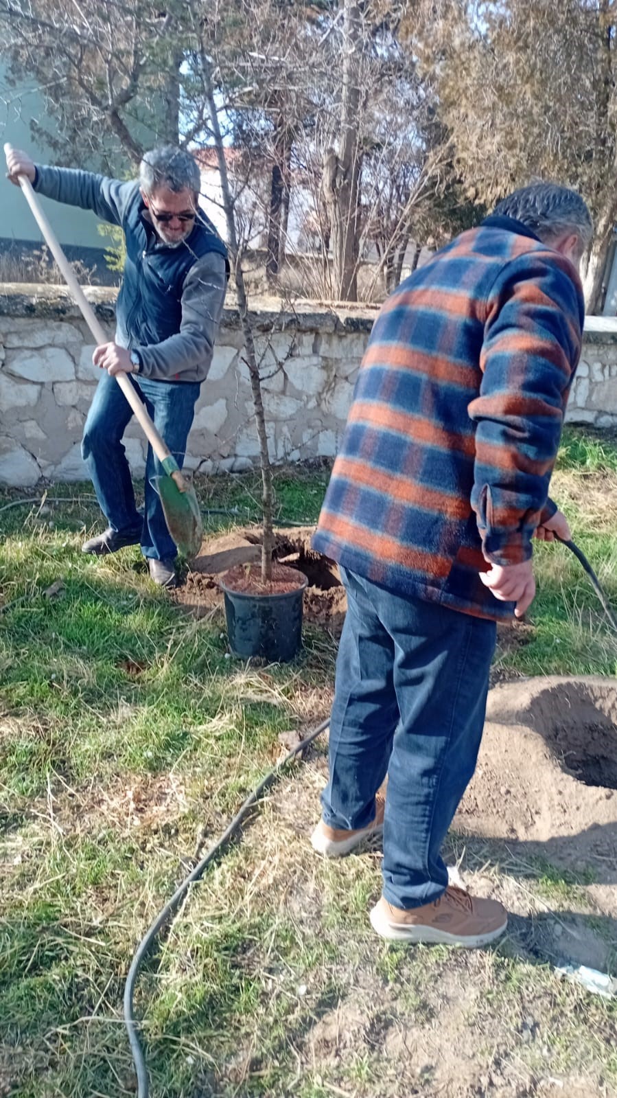 Umraniye k&ouml;yl&uuml;leri 300 adet fidanı okul ve camii bah&ccedil;esine diktiler
