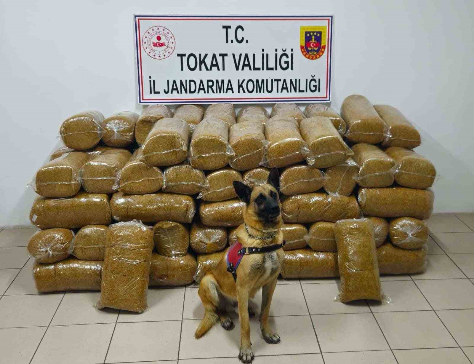 Tokat’ta 485 kilogram kaçak tütün ele geçirildi