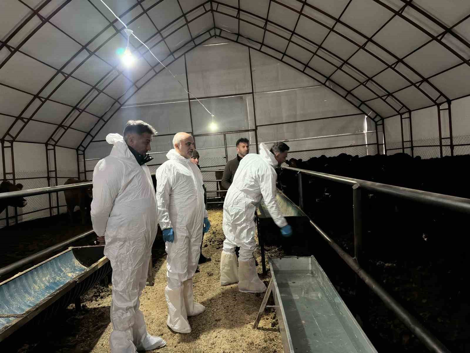 Pertek&rsquo;te kırsala bereket: Gen&ccedil; veterinere hayvancılık desteği
