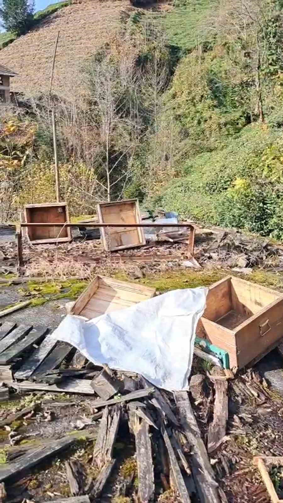Rize’de ayının kovanlarına saldırdığı üreticiden "Ben şimdi ne edeyim?" tepkisi