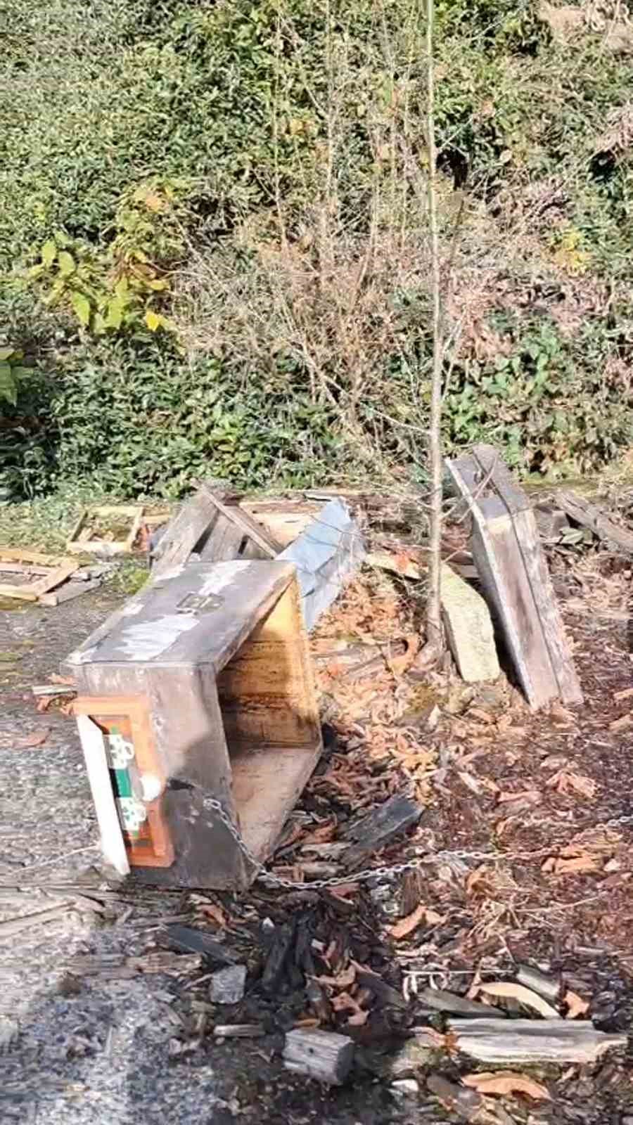 Rize&rsquo;de ayının kovanlarına saldırdığı &uuml;reticiden "Ben şimdi ne edeyim?" tepkisi
