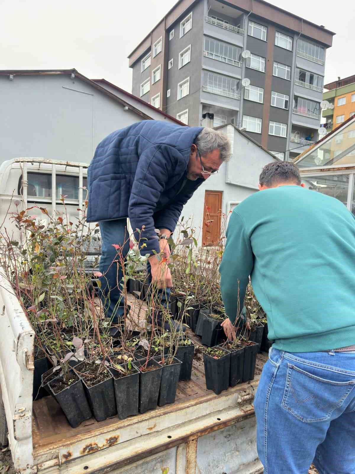 Giresun&rsquo;dan mavi yemiş atağı
