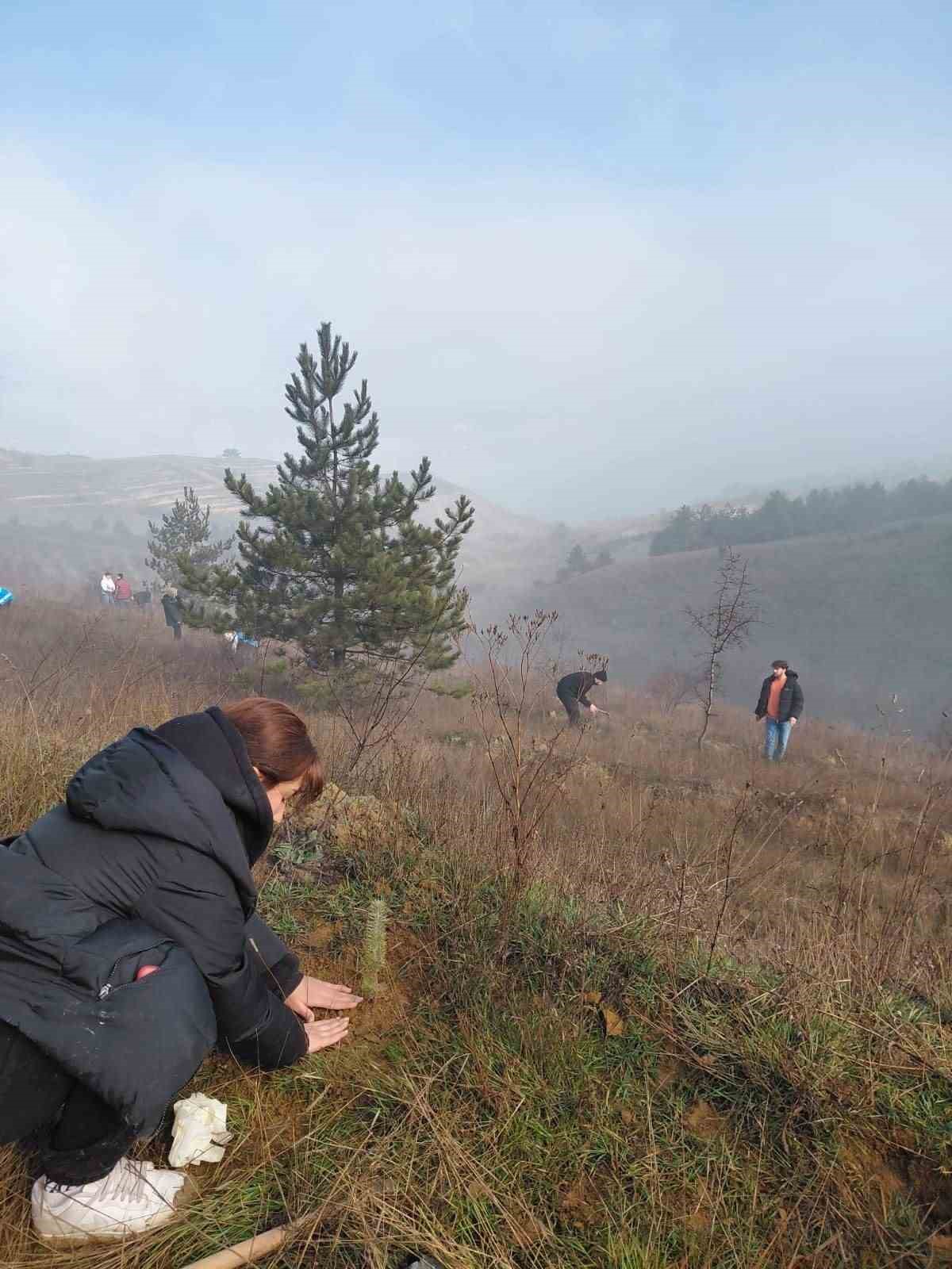 KBÜ’lü öğrenciler 500 çam fıstığı fidanını toprakla buluşturdu