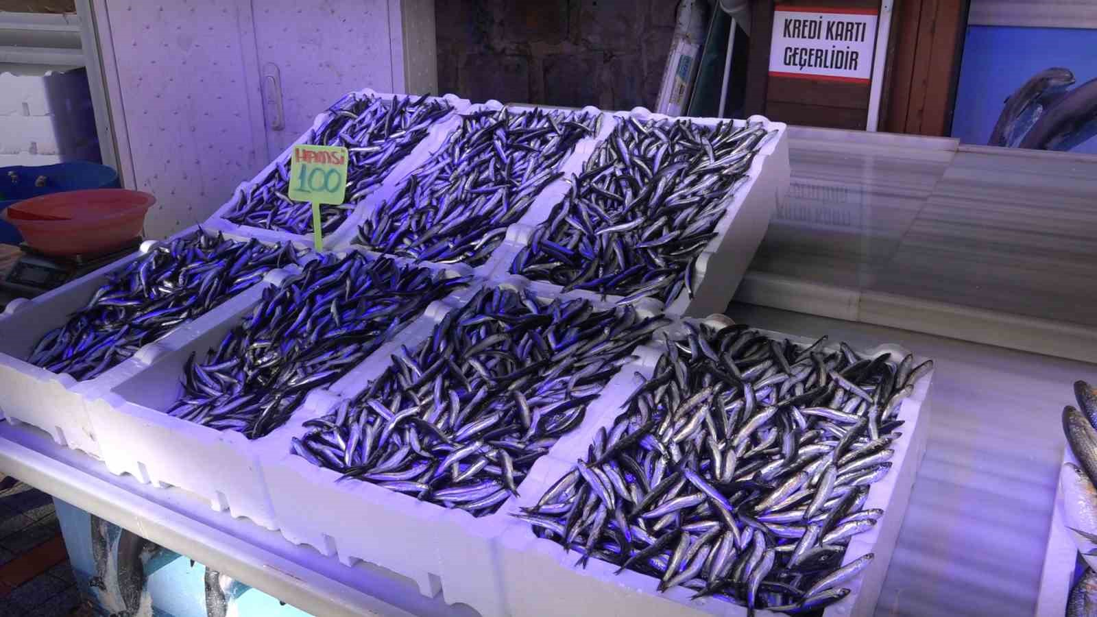 Doç. Dr. Yusuf Ceylan: "Gelecekte hamsiye hasret kalacağız"
