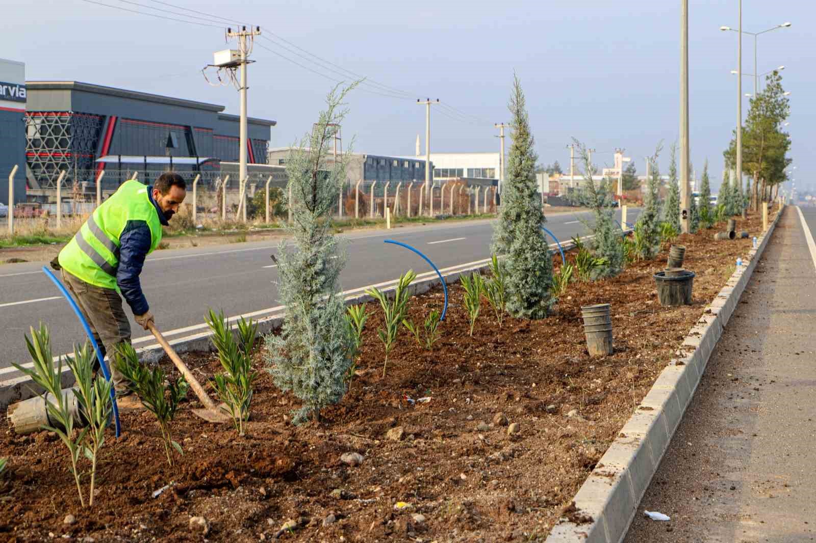 Diyarbakır’ın 14 kilometrelik girişi ağaçlandırılıyor