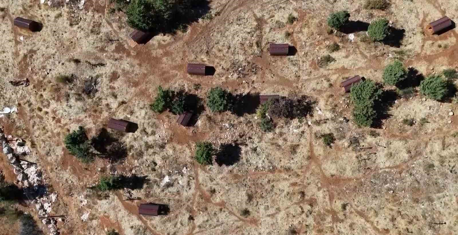 Sokak hayvanları sıcak yuvaya kavuştu