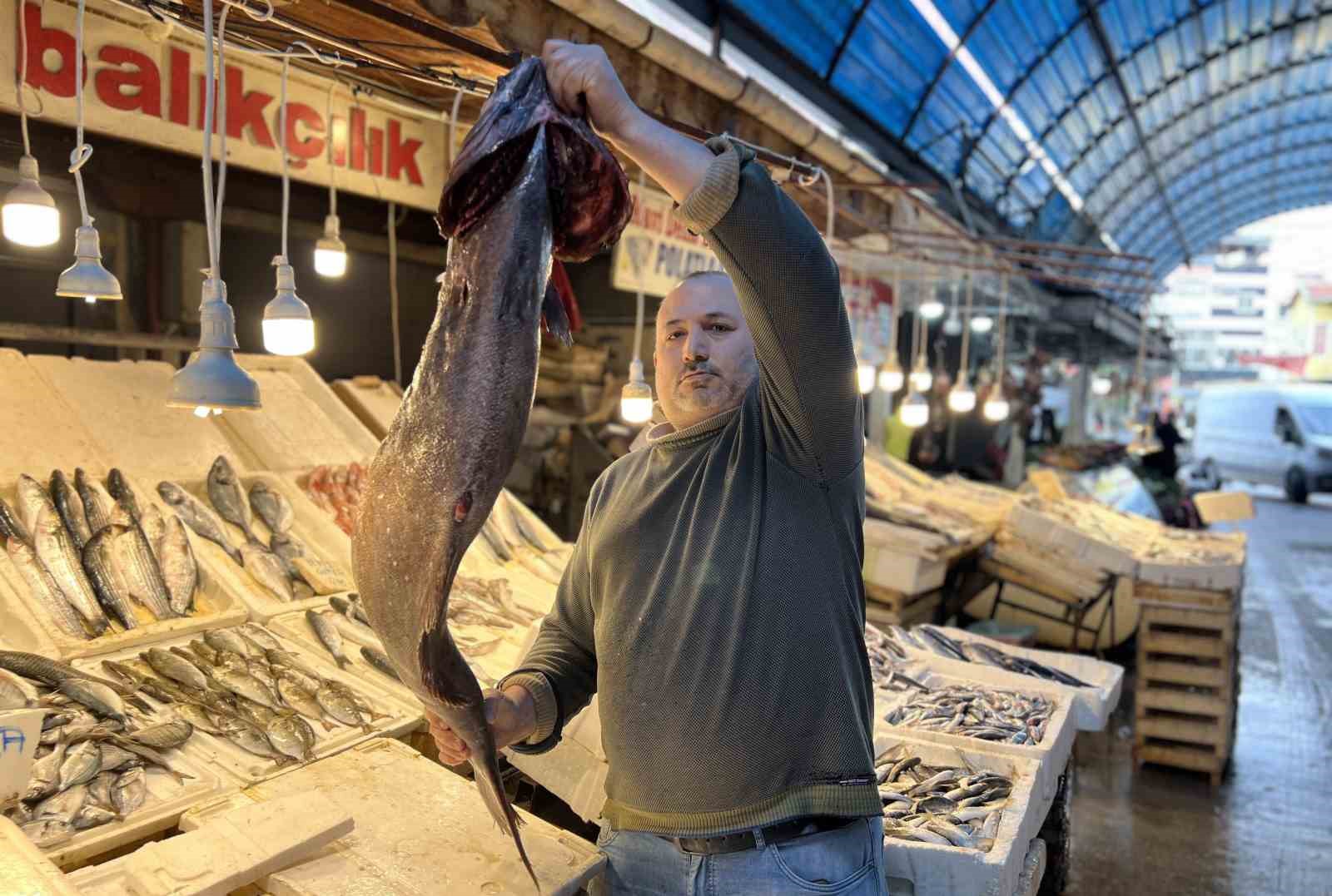 Akdeniz’de 1,5 metrelik Atlas balığı yakalandı