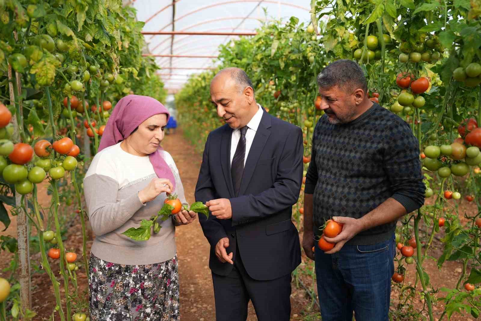 ŞOK Marketler&rsquo;de yeni d&ouml;nem: Meyve-sebzede pestisit kontrol s&uuml;reci bir adım ileri taşındı
