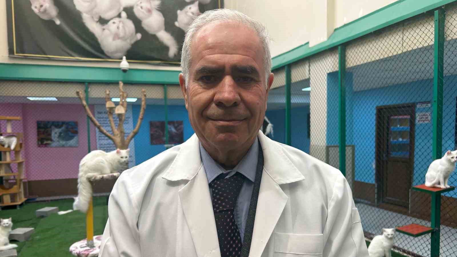 Van Kedi Villası&rsquo;nda bu yıl 120 yavru d&uuml;nyaya geldi
