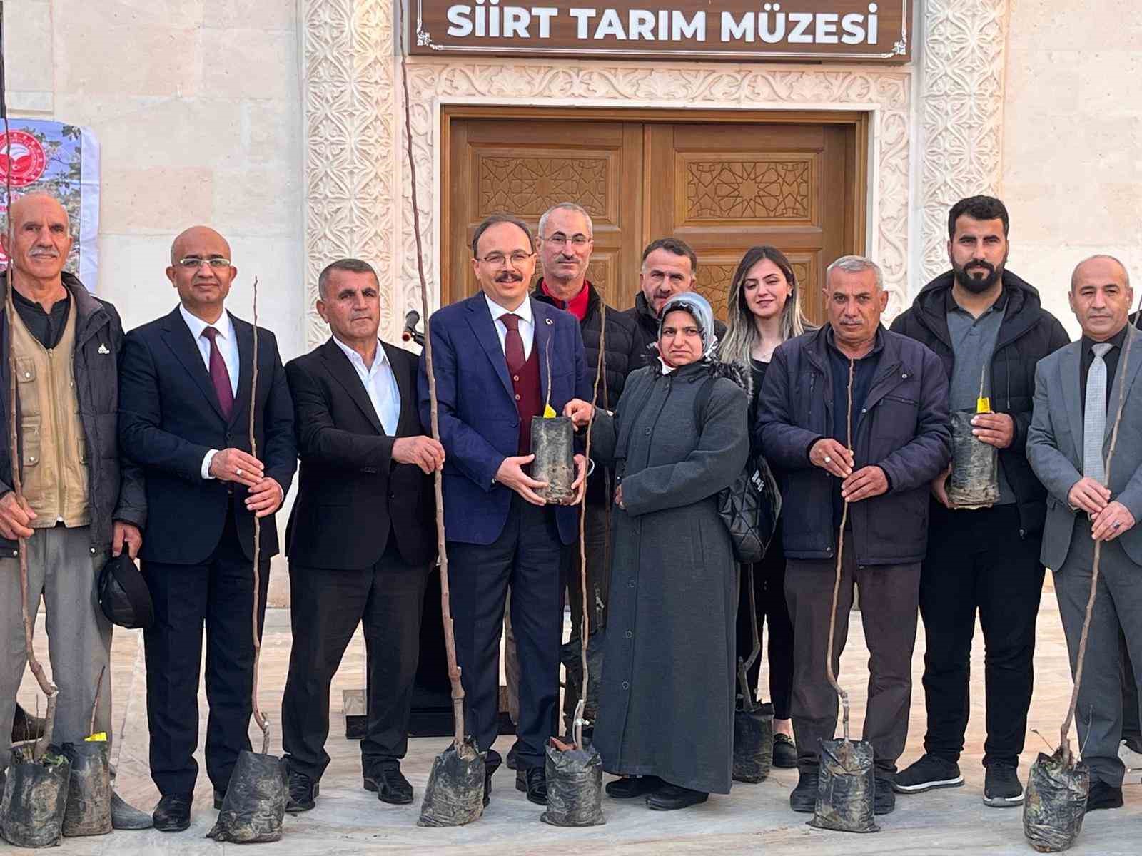 Siirtli &ccedil;ift&ccedil;ilere 25 bin fıstık ve 4 bin 300 adet Trabzon Hurması fidanı dağıtıldı
