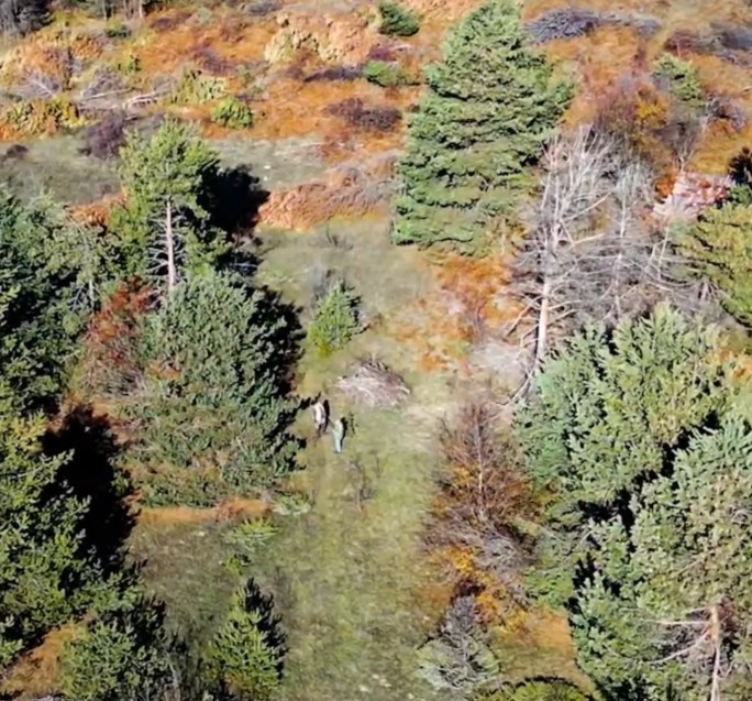 Kastamonu’da dron ile tespit edilen 4 kaçak avcıya cezai işlem