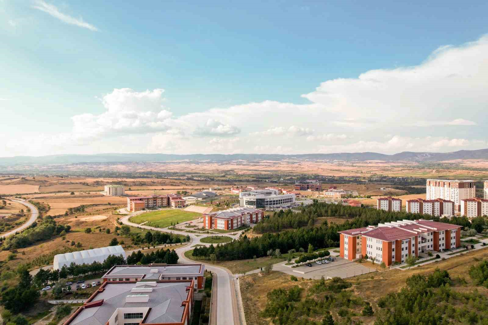 Kastamonu Üniversitesi’nin kayın kontrplak üretimine yönelik çalışması tescillendi