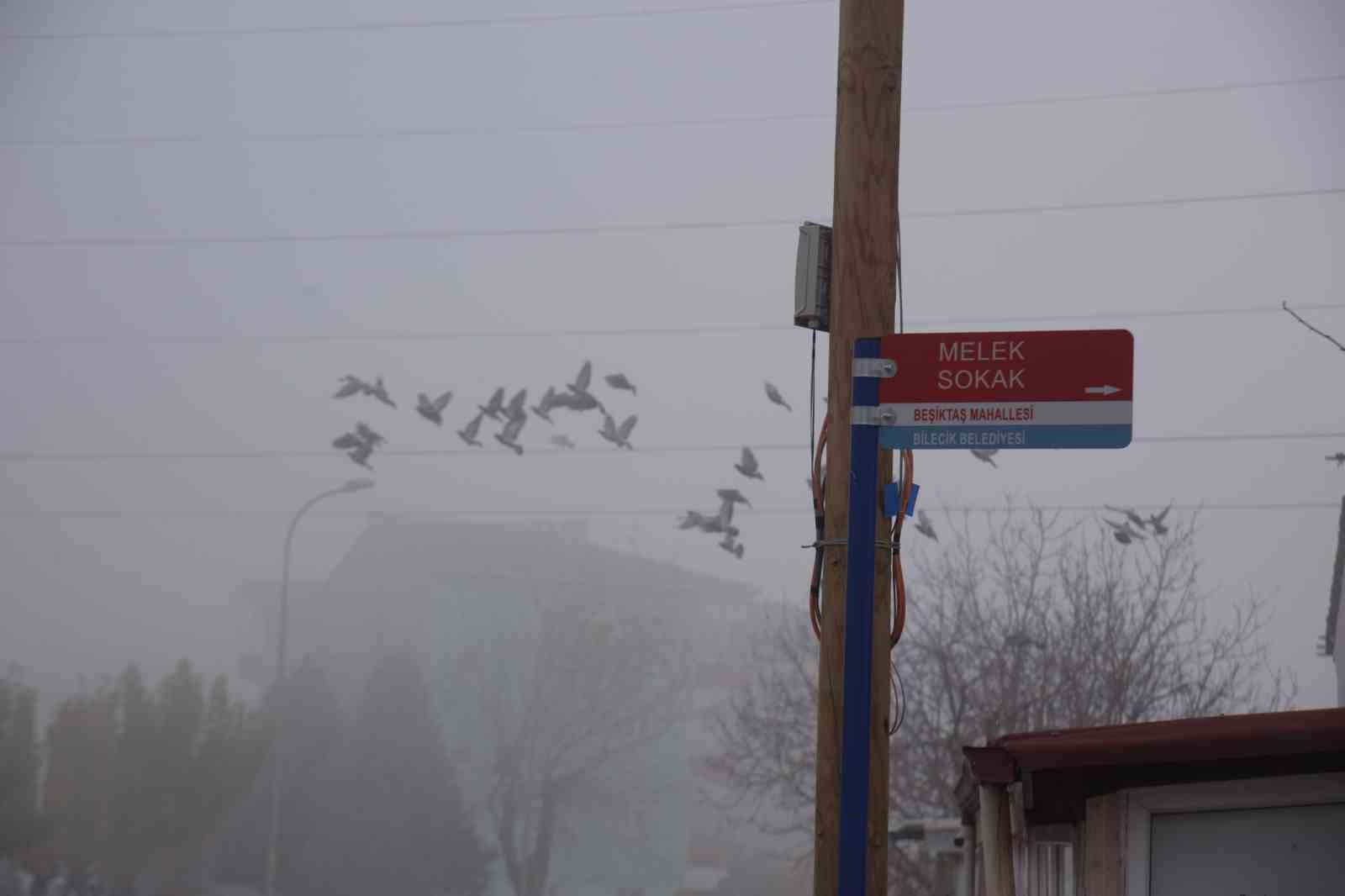 Bilecik&rsquo;te cadde ve sokak tabelaları yenileniyor
