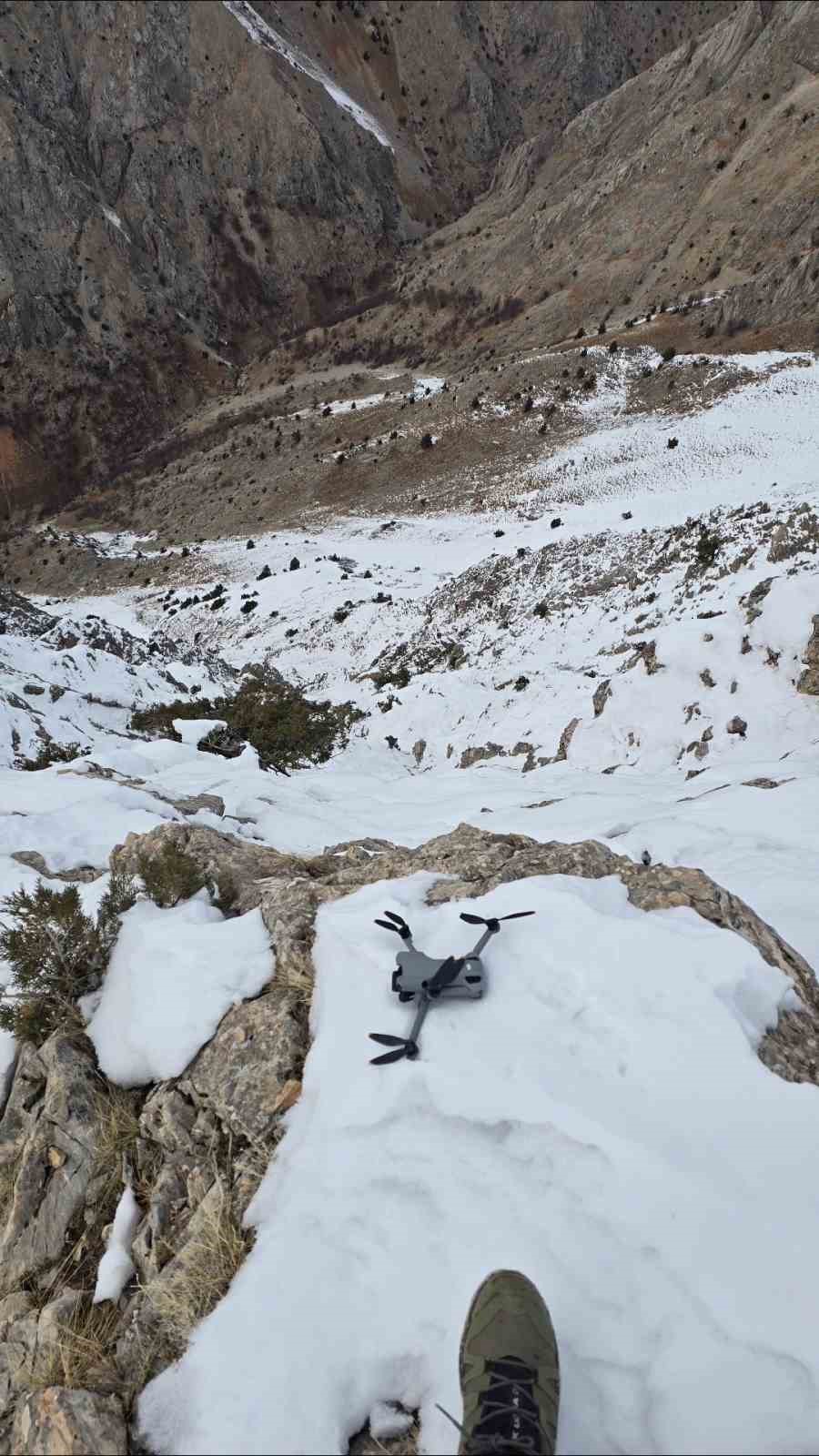 Kartal dronu kaptı, dağın zirvesine bıraktı: O anlar kamerada
