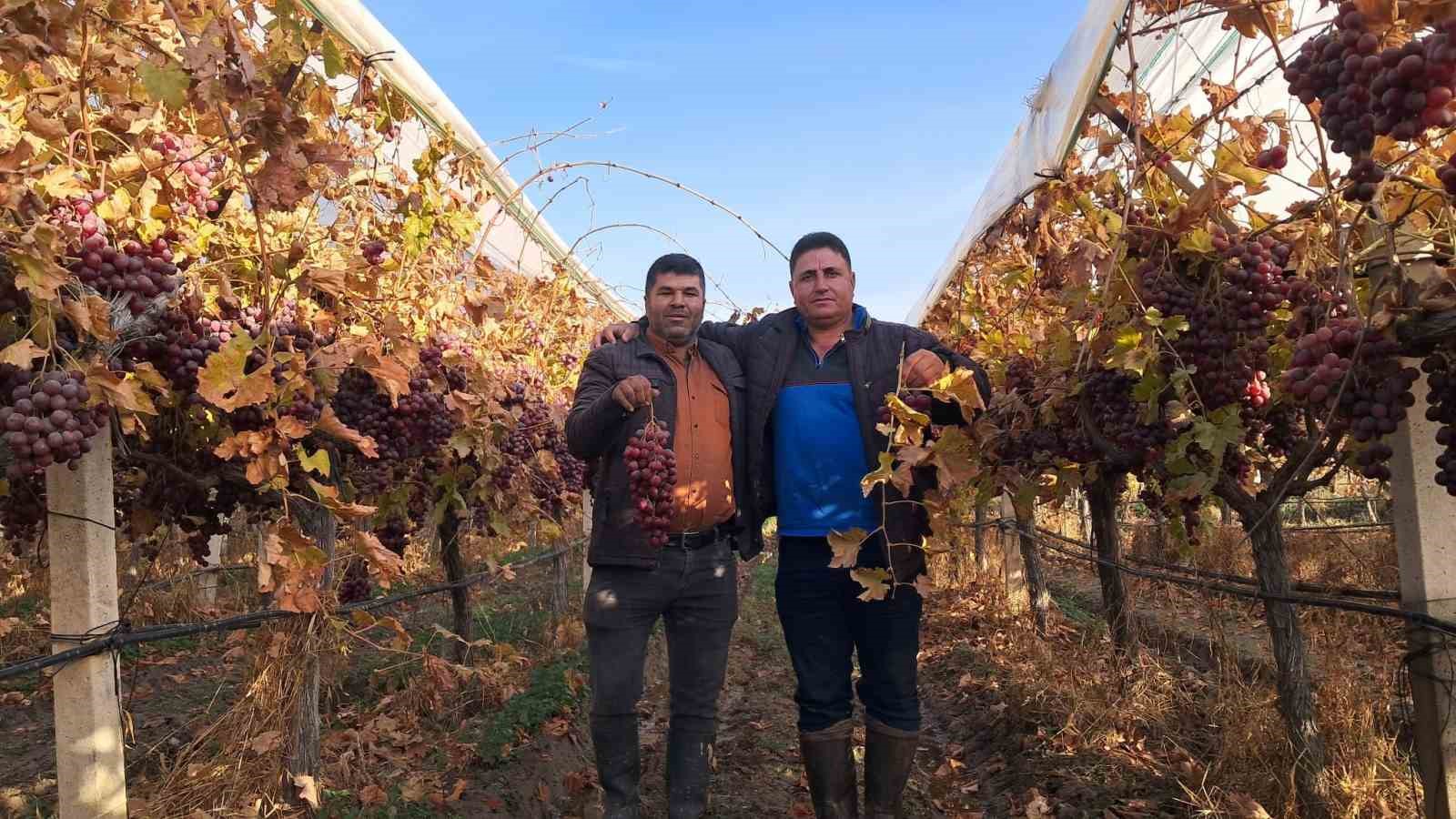 Yeni yılın &uuml;z&uuml;mleri depodan değil bağdan
