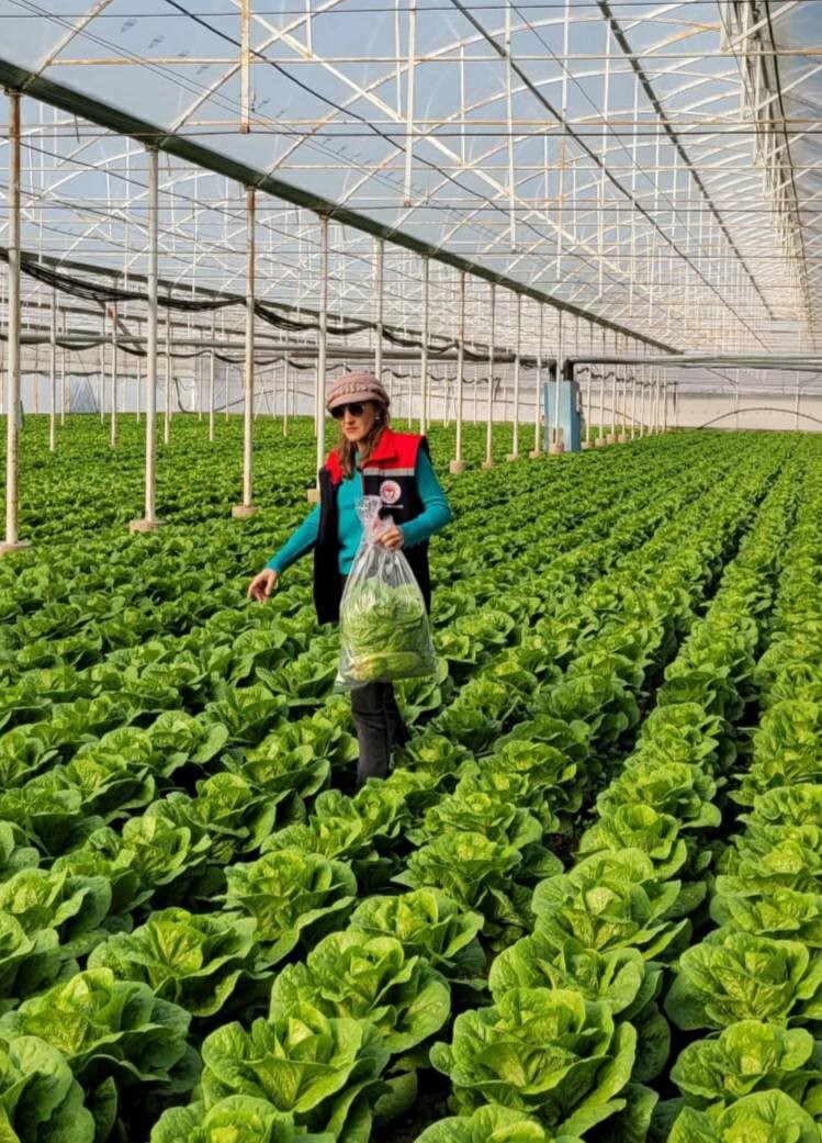 Buharkent’te sağlıklı gıda için pestisit denetimi