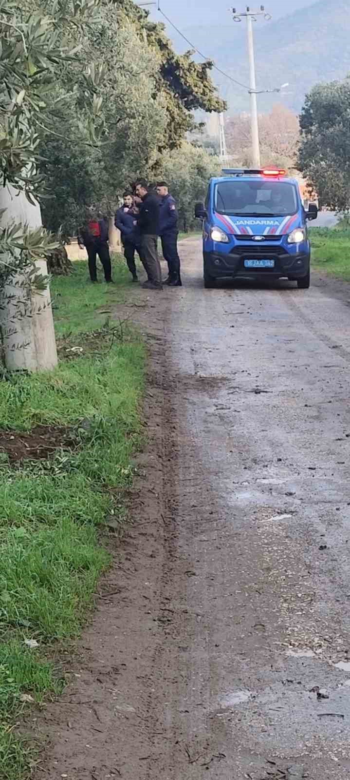 Zeytinleri dalından &ccedil;aldılar
