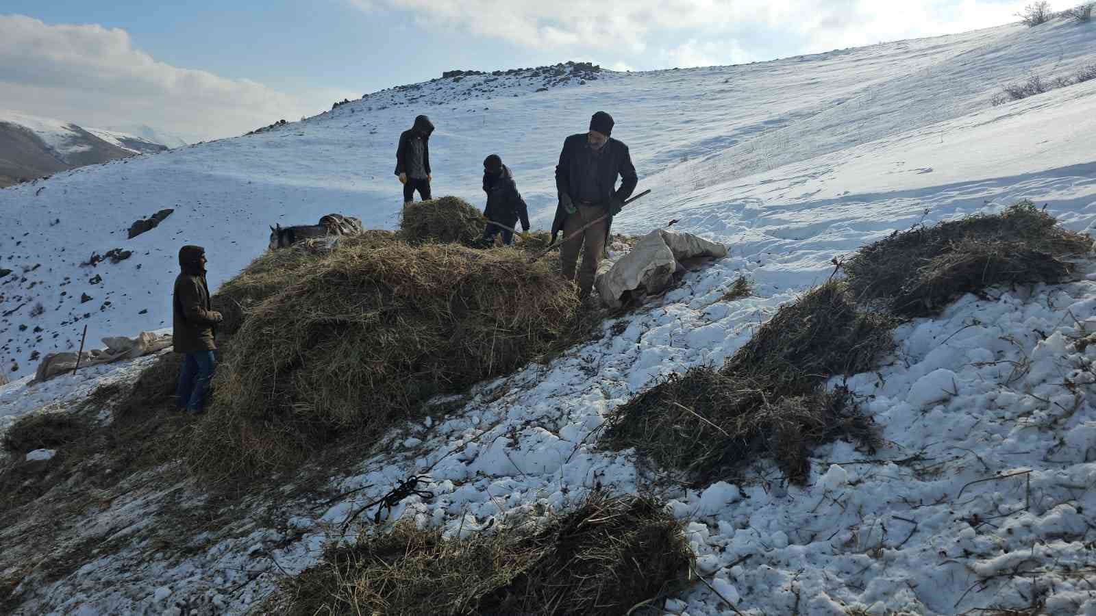 Erciş&rsquo;te asırlık kış mesaisi: Otlar kızaklarla k&ouml;ye taşınıyor
