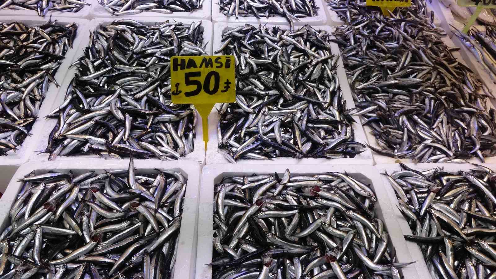 Recep Denizer: "Hamsi T&uuml;rk karasularını terk etti"
