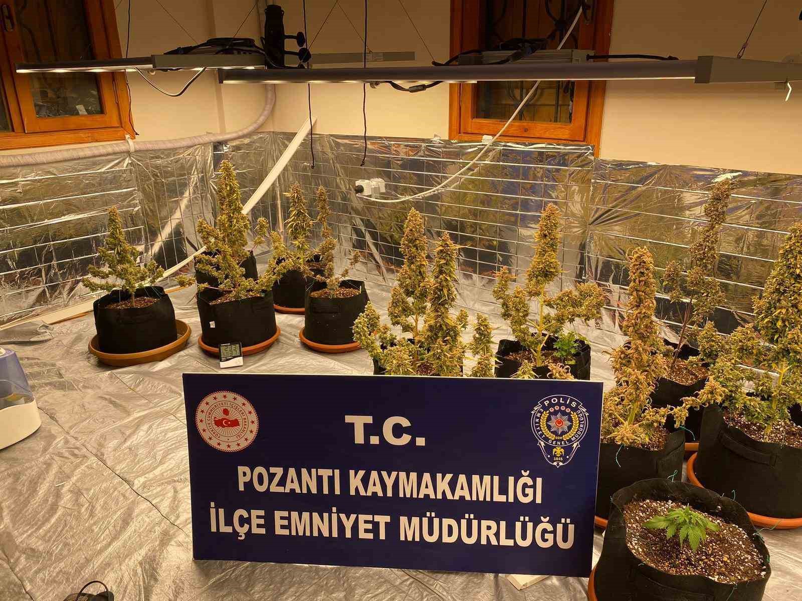 Villada uyuşturucu yetiştirmişler: Torbacı ’sevgililer’ yakalandı, 4 kilo uyuşturucu ele geçirildi