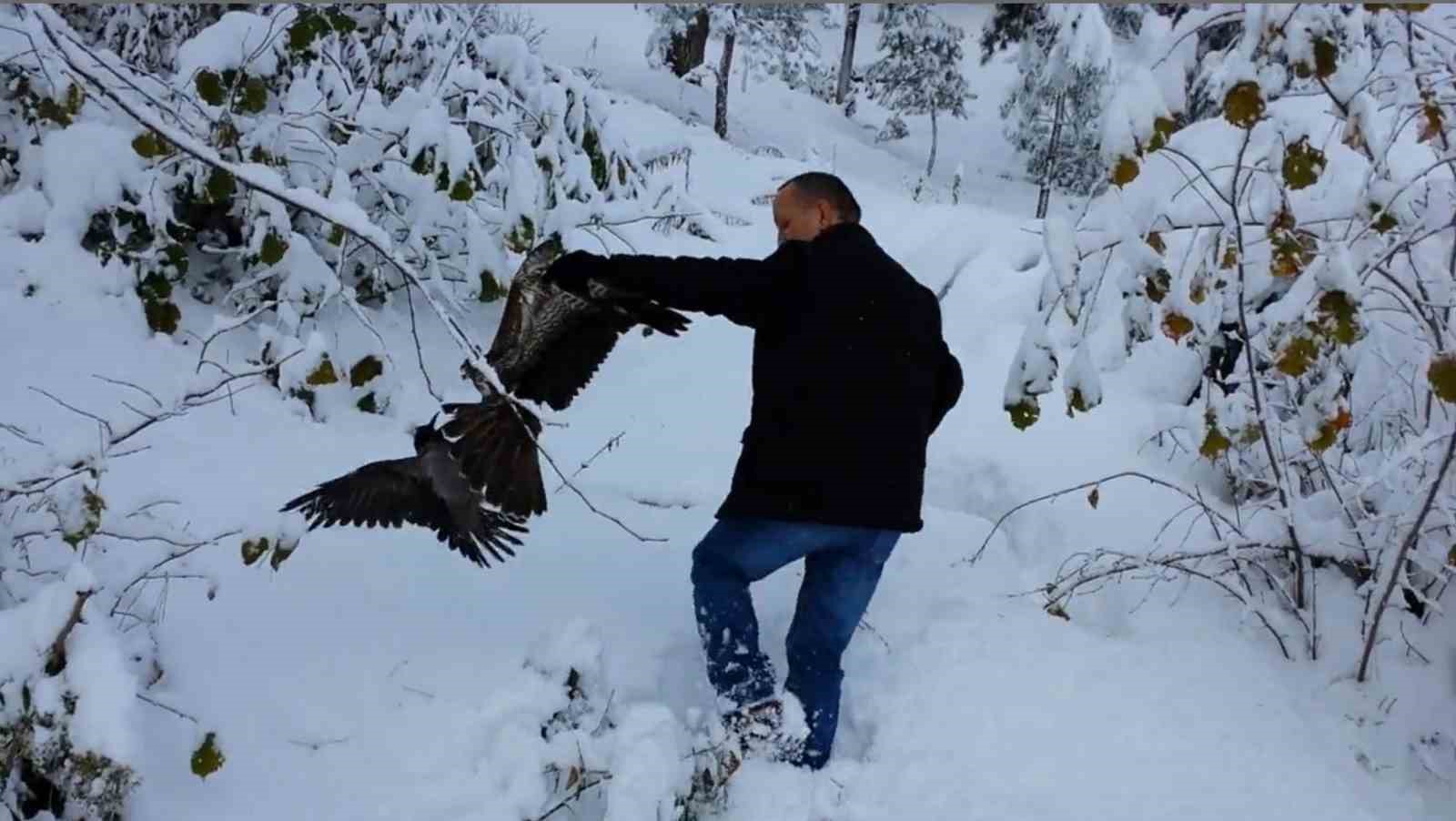 Kargayı atmacanın pençelerinden yoldan geçen vatandaşlar kurtardı