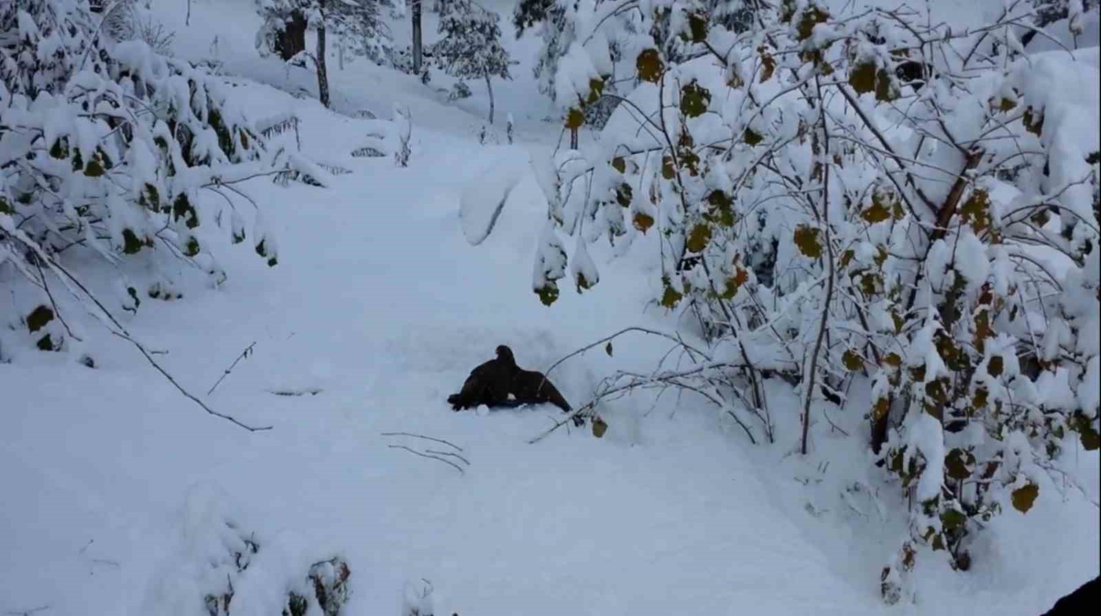 Kargayı atmacanın pen&ccedil;elerinden yoldan ge&ccedil;en vatandaşlar kurtardı
