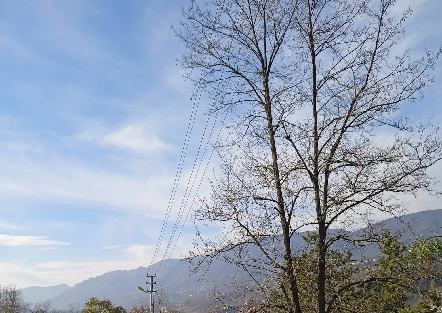 Ordu&rsquo;da elektrik tellerine temas eden ağa&ccedil; dalları kesildi
