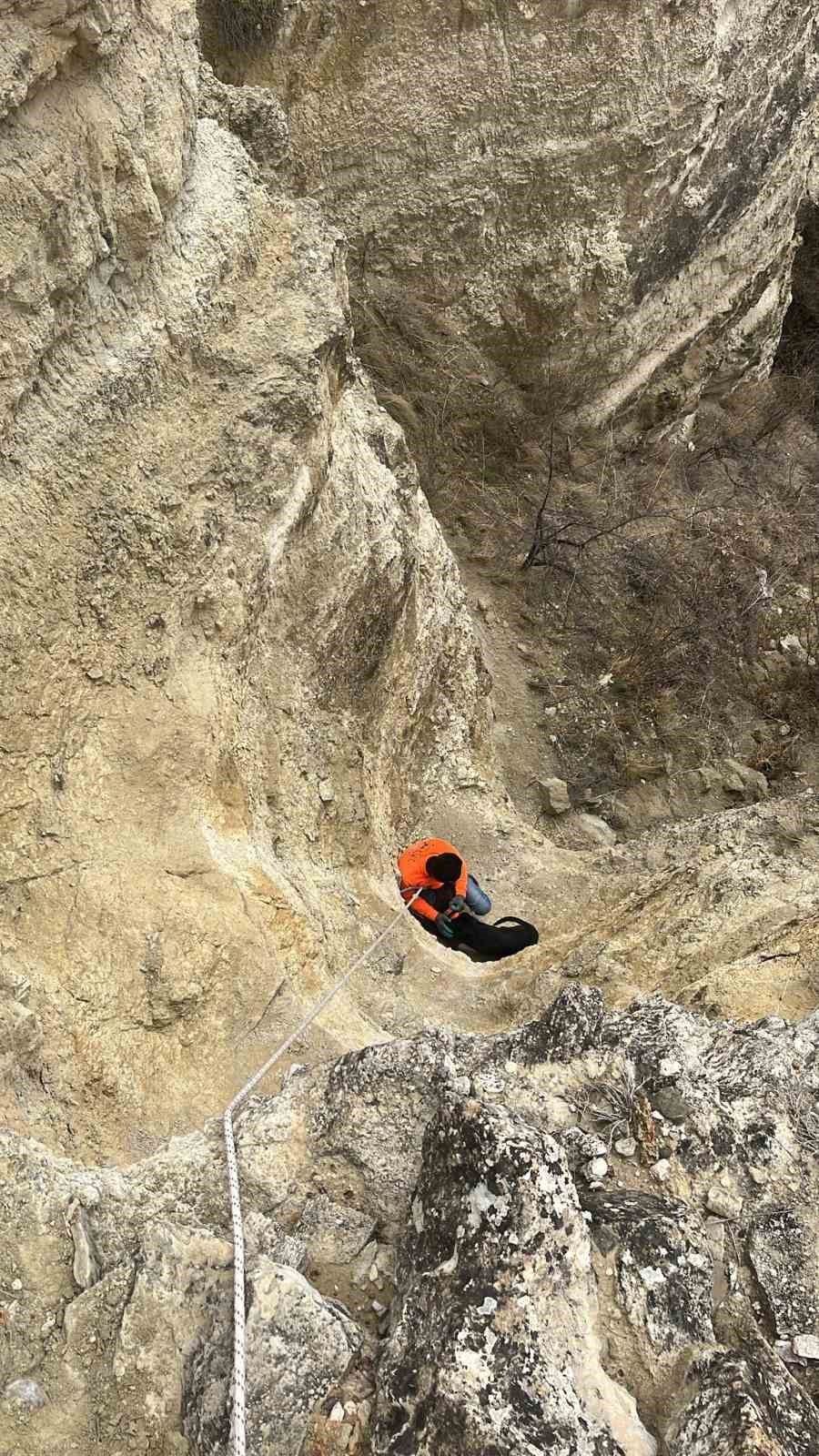 U&ccedil;urumda mahsur kalan k&ouml;peklerini halatla inerek kendi imkanlarıyla kurtardılar
