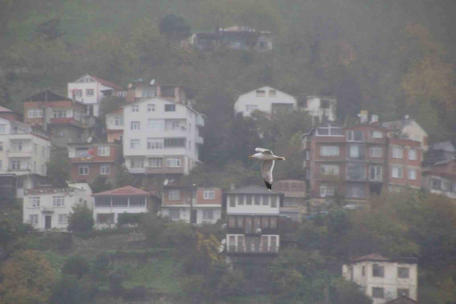 Ordu&rsquo;nun &lsquo;seyir terasında&rsquo; sis g&uuml;zelliği
