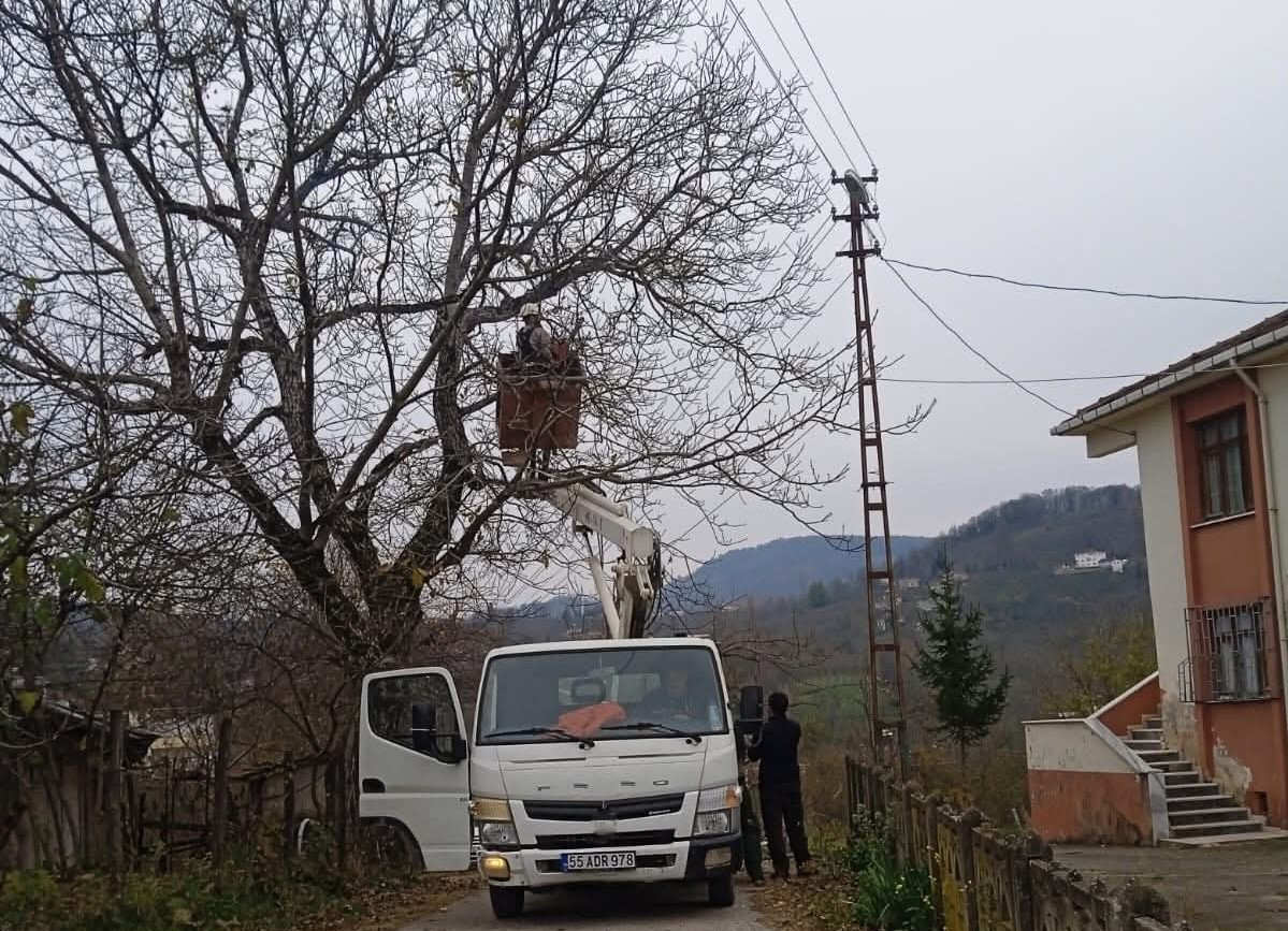 Ordu’da elektrik tellerine temas eden ağaç dalları kesildi