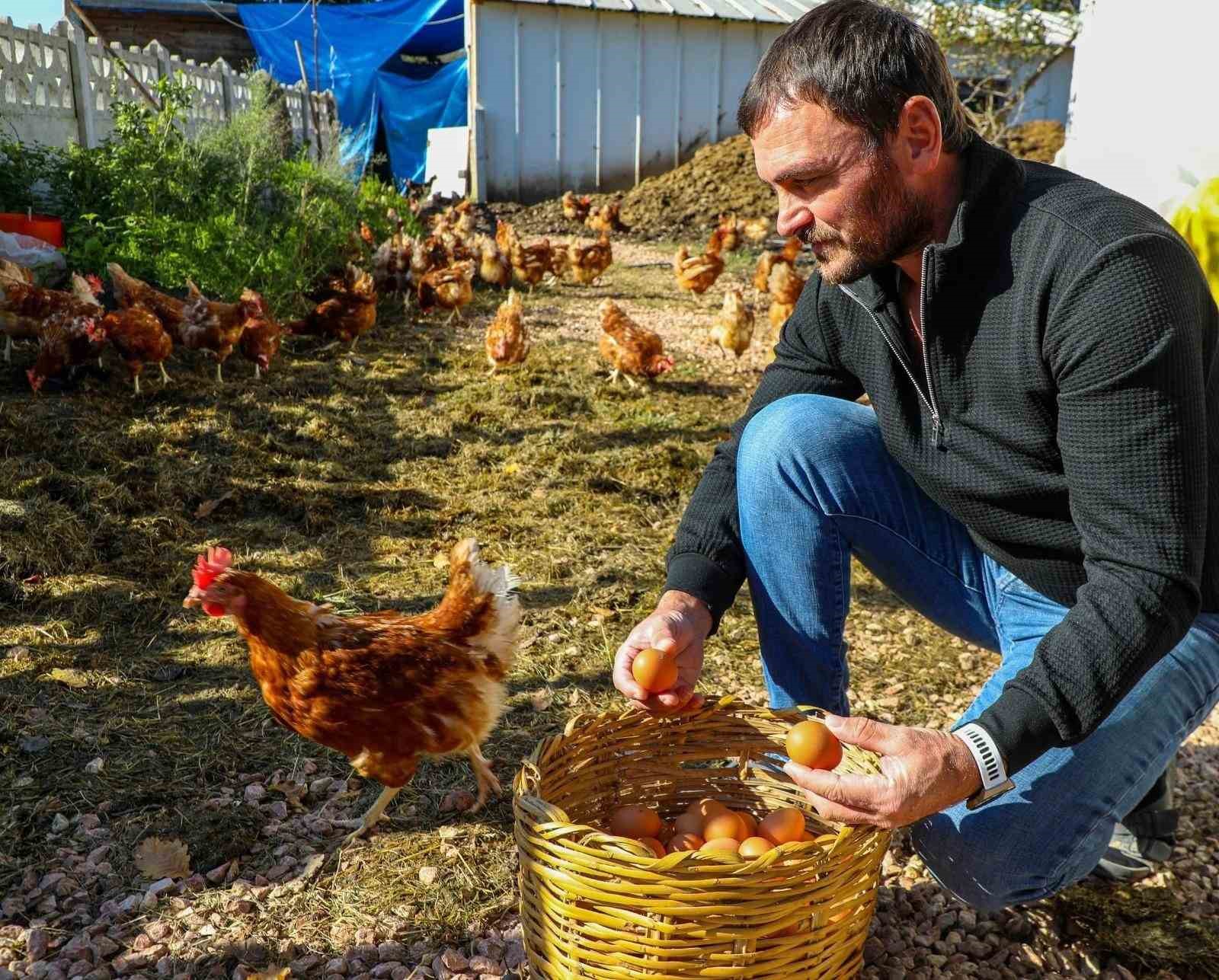 Ordu&rsquo;da yumurta &uuml;retimi, verilen destekler ile zarardan kara d&ouml;n&uuml;şt&uuml;: İlin ekonomisine yıllık 500 milyon lira gelir
