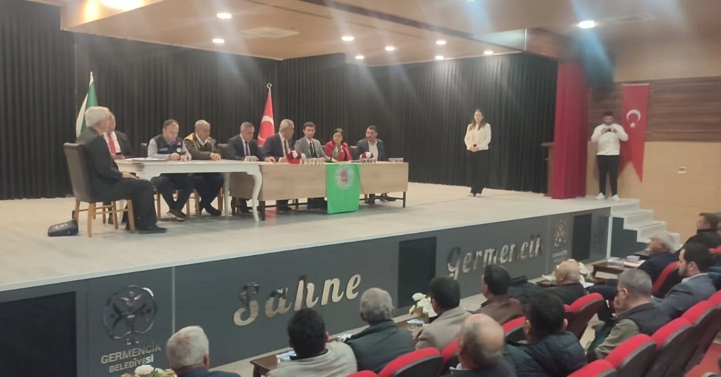 Zeytin &uuml;reticileri i&ccedil;in destek ve markalaşma &ouml;nerisi
