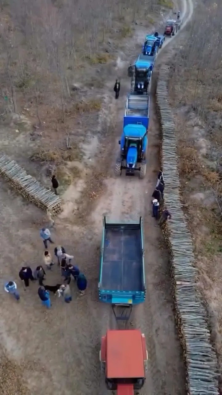 Sinop’ta orman köylüsüne kış öncesi destek