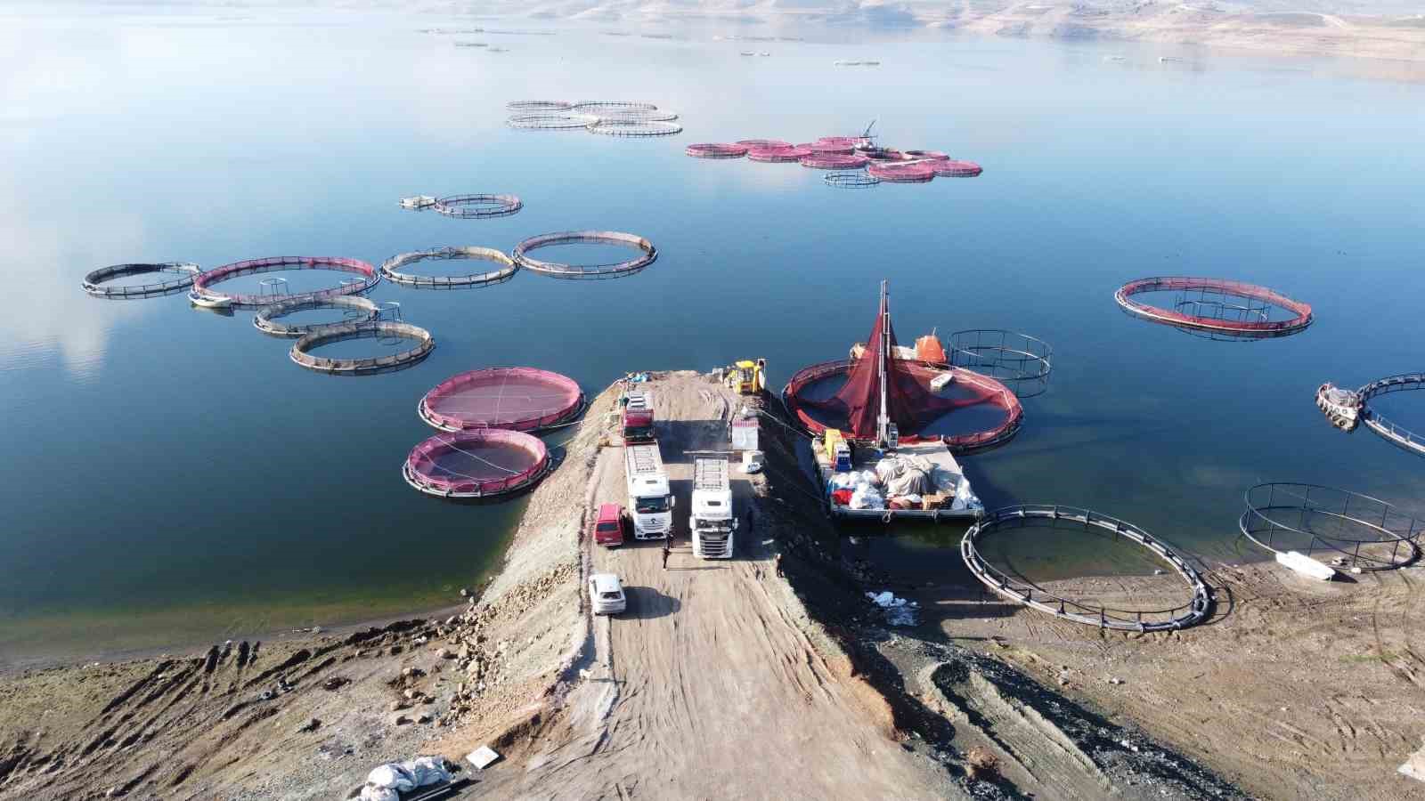 Bozkırın ortasında yetişti, Rusya ve Japonya yolcusu oldu
