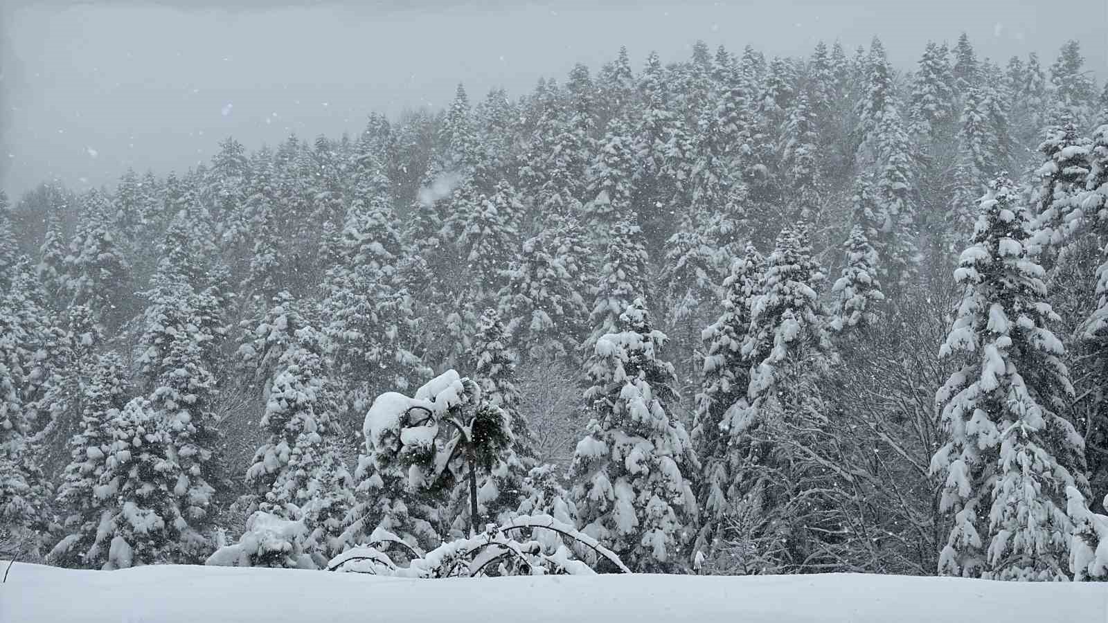 Karab&uuml;k-Bartın kara yolunda kar nedeniyle tırların ge&ccedil;işine izin verilmiyor
