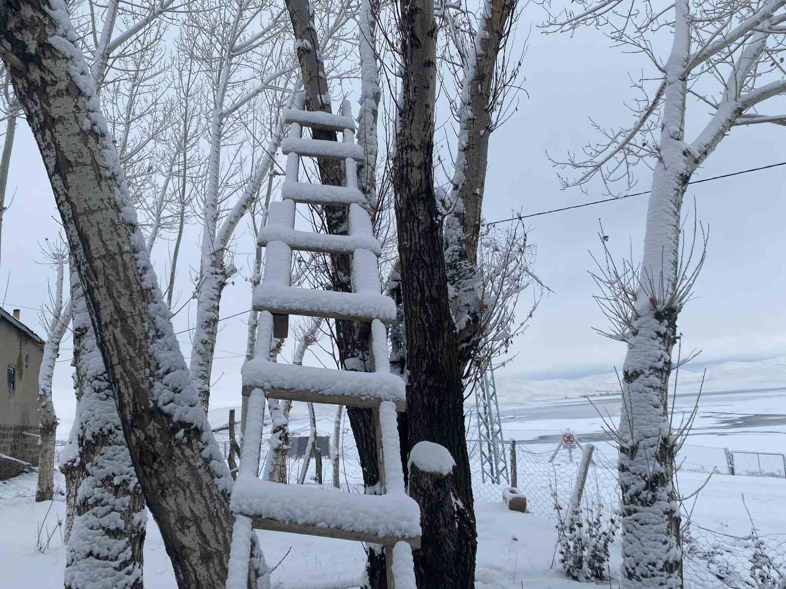 Ağrı beyaza büründü