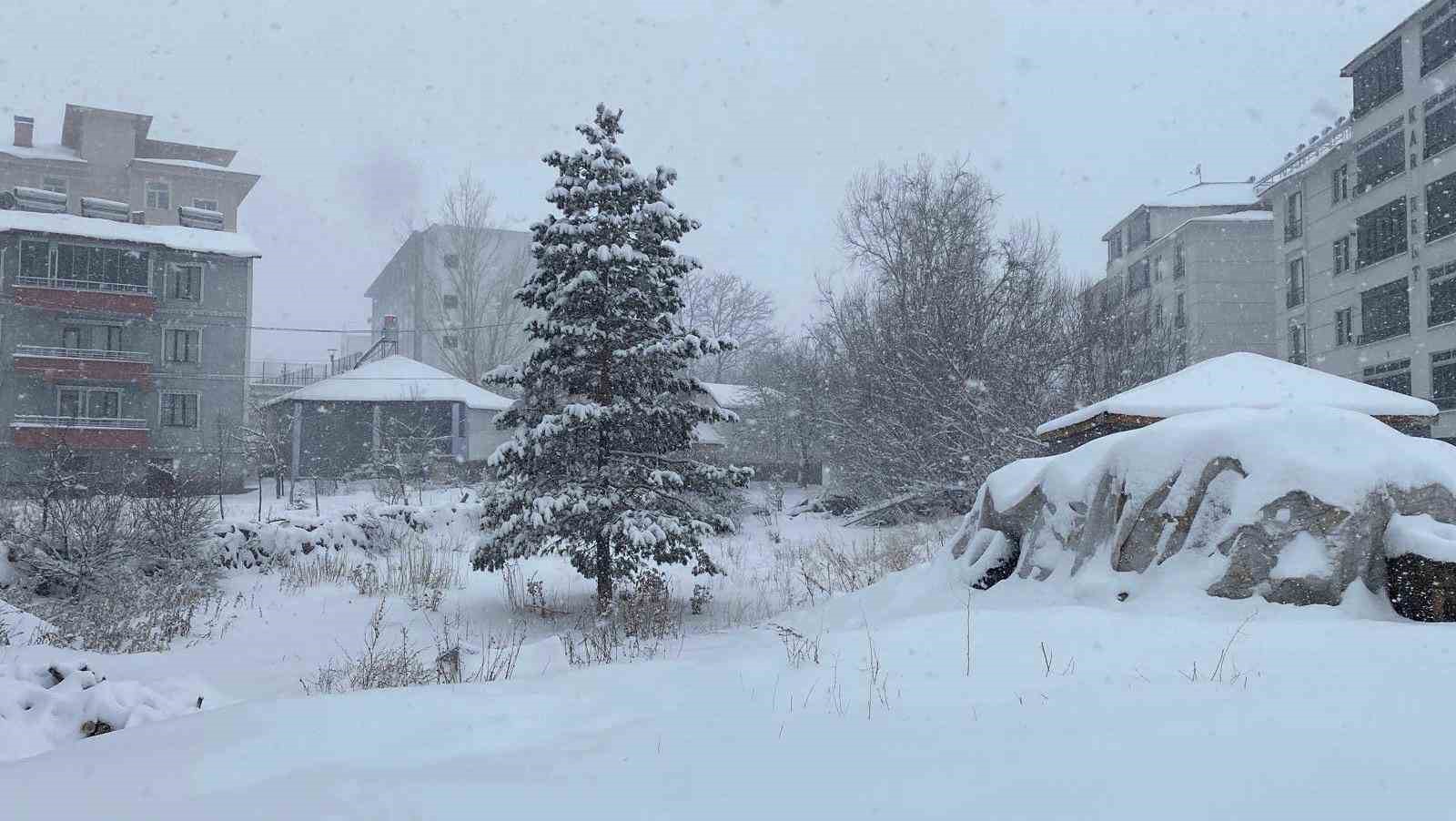 Karlıova, kara teslim oldu
