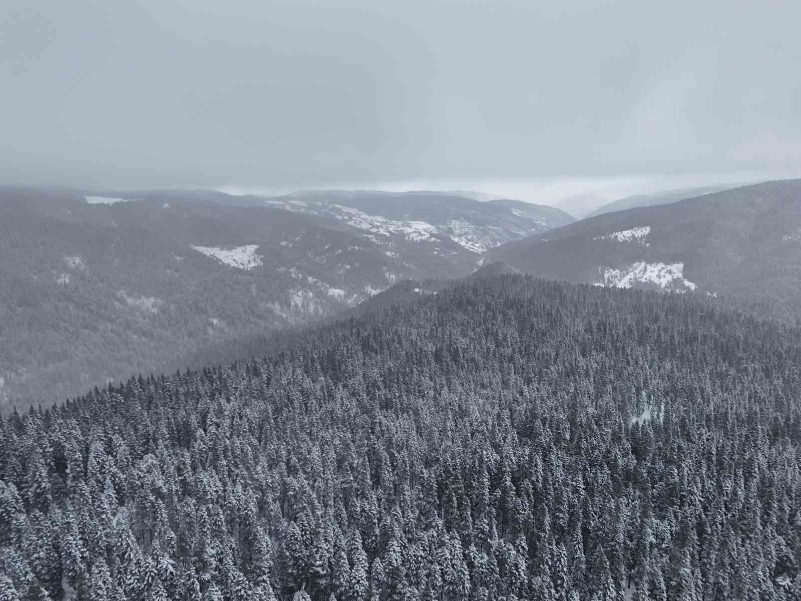 Beyaza bürünen Ilgaz Dağı havadan görüntülendi
