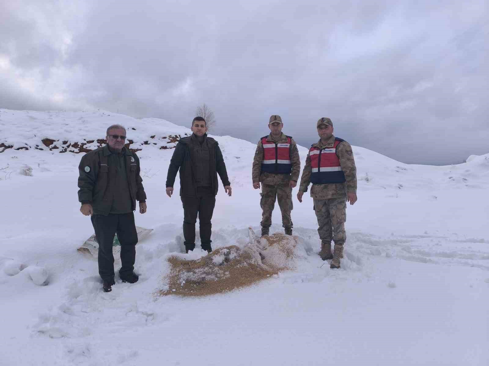 Siirt’te yaban hayvanlarına 750 kilo besi yemi bırakıldı