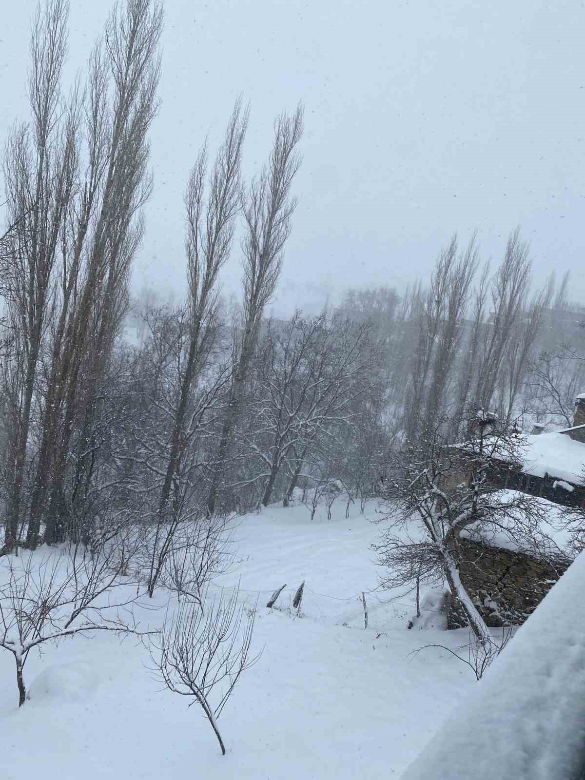 Van-Bahçesaray yolu ulaşıma kapatıldı