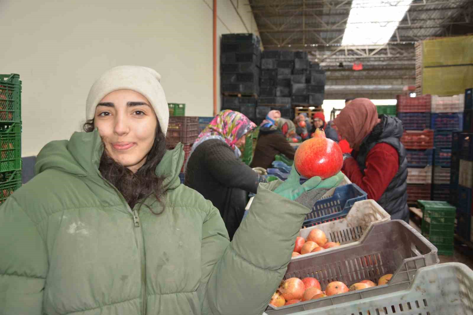 Korkuteli’nden nar ihracatı başladı