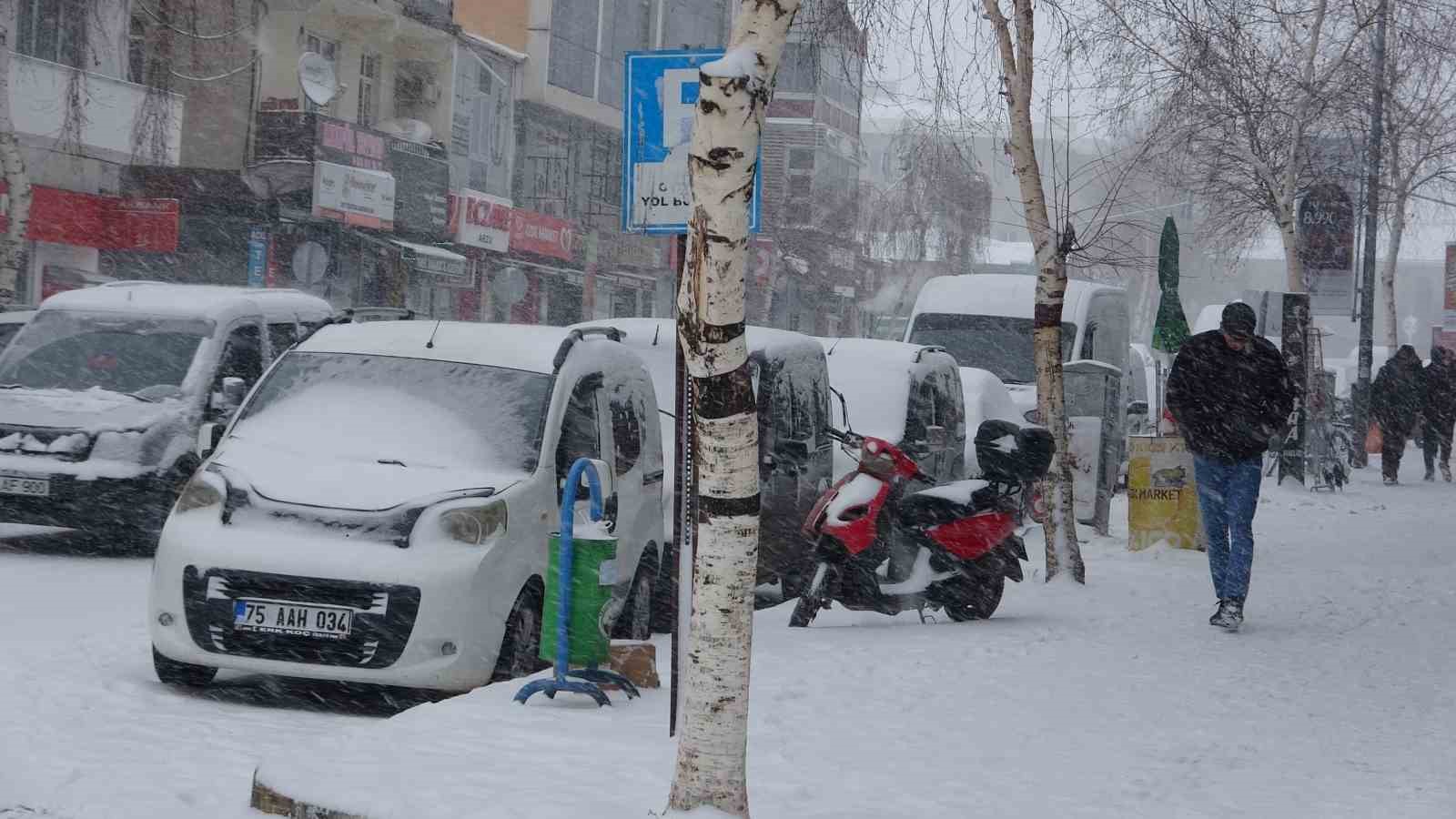 Ardahan beyaza b&uuml;r&uuml;nd&uuml;
