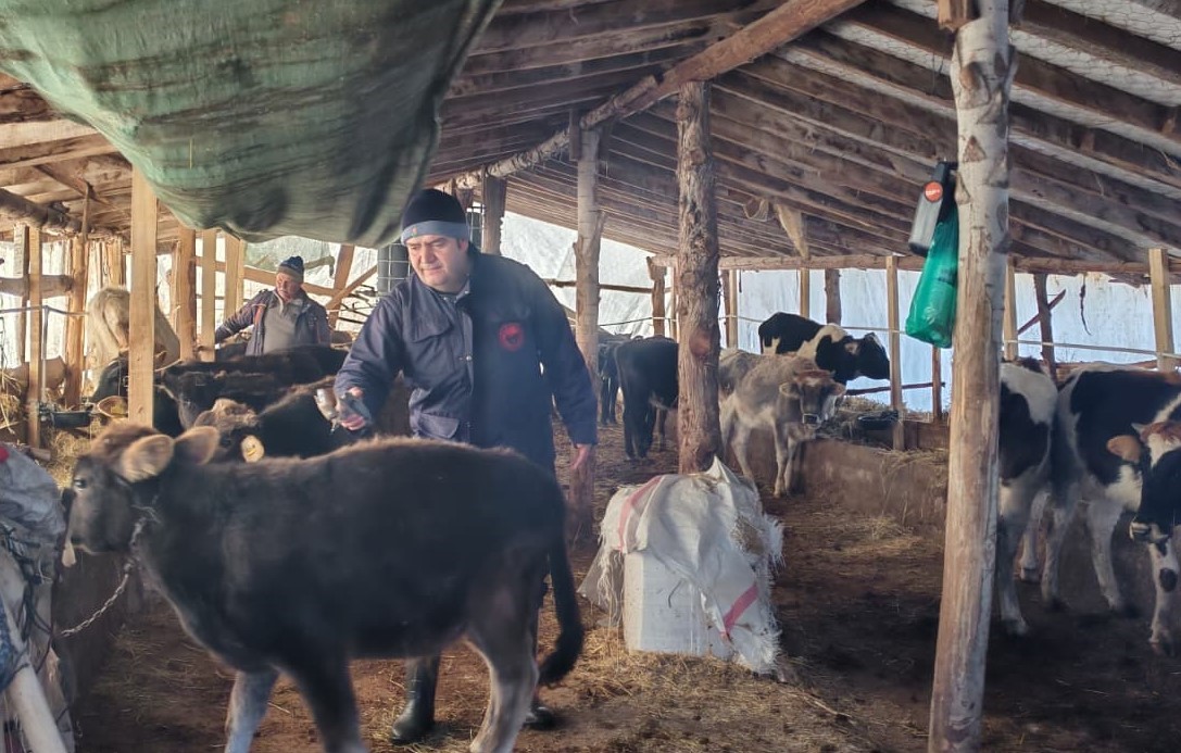 Beyşehir&rsquo;de hayvancılık faaliyetleri yakın takipte
