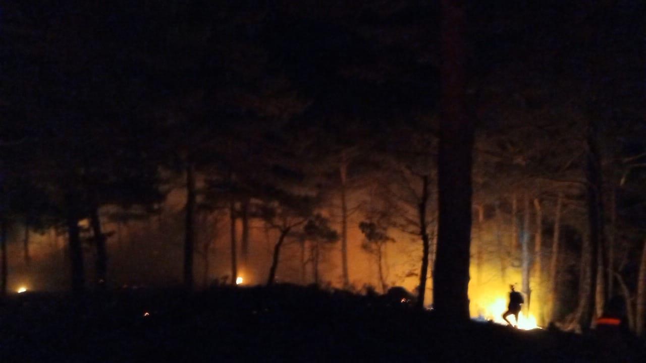 Bozyazı&rsquo;da &ccedil;ıkan orman yangını kontrol altına alındı
